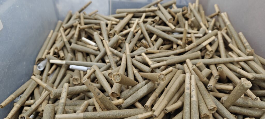 hemp pre rolls and cannabis pre rolls Finished pre-rolls in a bin