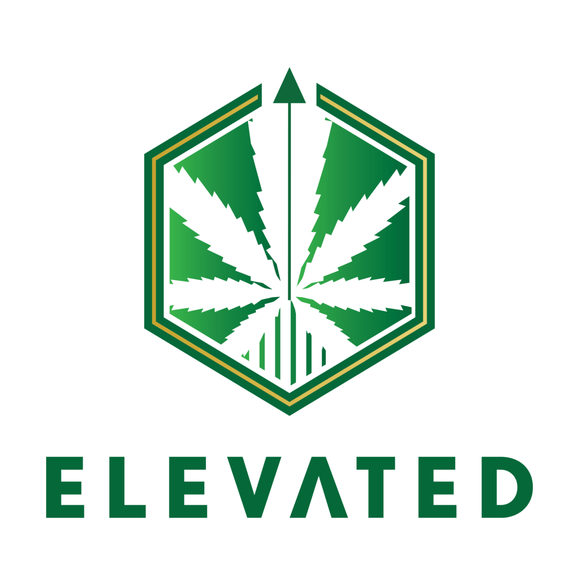 elevated 1189x1200 1